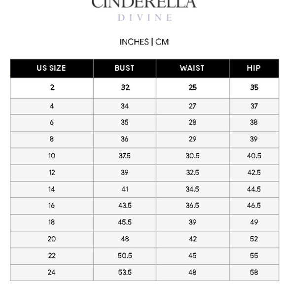 Ladivine CDS439 Prom Dress Amethyst size 8 - Picture 6 of 6